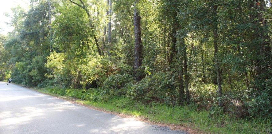 Terreno en Gainesville, Florida № 1687458