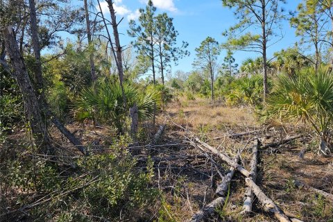Land in Punta Gorda, Florida № 1521607 - photo 3