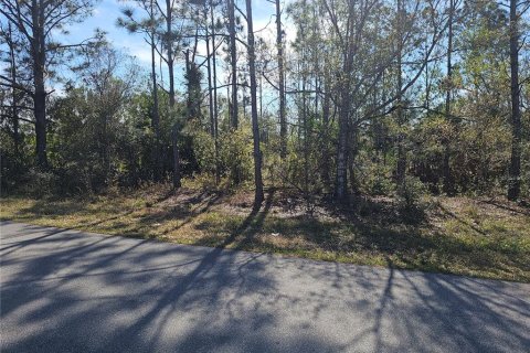 Land in Punta Gorda, Florida № 1521607 - photo 1
