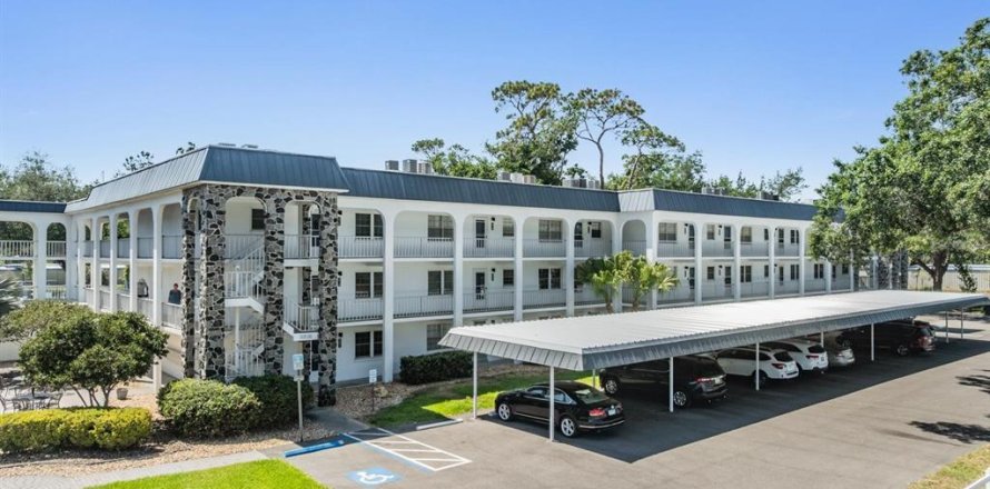 Condo in Zephyrhills, Florida, 2 bedrooms  № 1658806
