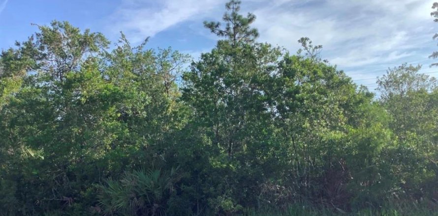 Terreno en Orlando, Florida № 1834691