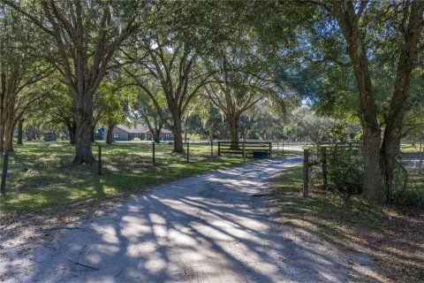 House in Bushnell, Florida 6 bedrooms, 459.4 sq.m. № 2226450 - photo 8