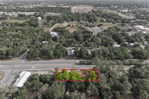 Land in Lady Lake, Florida № 2095794 - photo 15