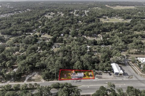 Land in Lady Lake, Florida № 2095794 - photo 7