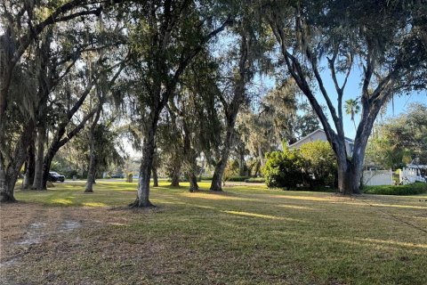 Land in Arcadia, Florida № 2158787 - photo 3