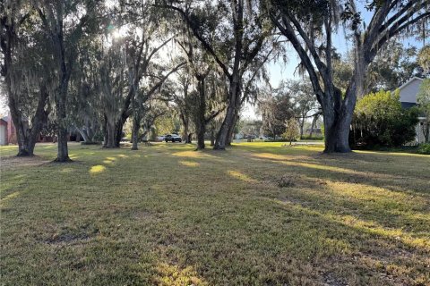 Land in Arcadia, Florida № 2158787
