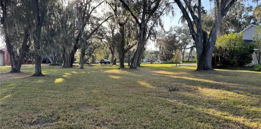 Land in Arcadia, Florida № 2158787