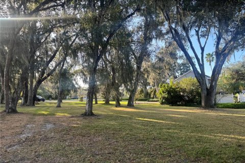 Land in Arcadia, Florida № 2158787 - photo 4