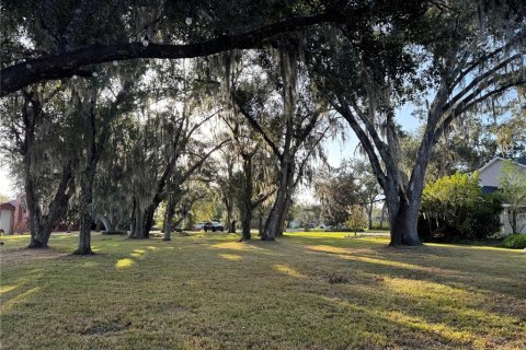 Land in Arcadia, Florida № 2158787 - photo 2