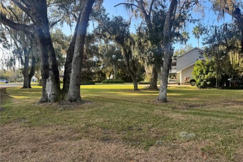 Land in Arcadia, Florida № 2158787 - photo 6