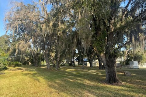 Land in Arcadia, Florida № 2158787 - photo 7