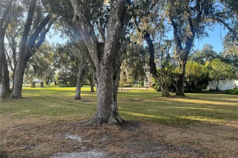 Land in Arcadia, Florida № 2158787 - photo 5