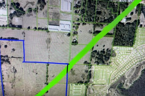 Land in Coleman, Florida № 823601 - photo 1