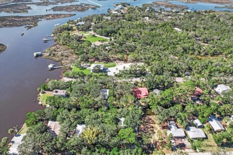 Land in Homosassa, Florida № 1716599 - photo 16