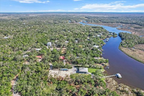 Land in Homosassa, Florida № 1716599 - photo 6