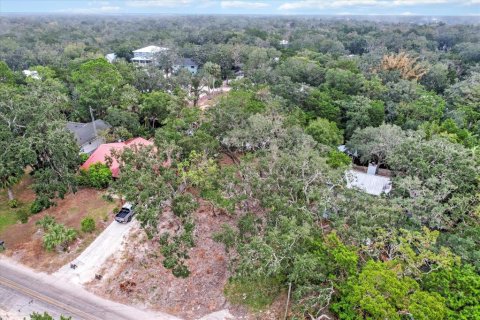 Land in Homosassa, Florida № 1716599 - photo 13