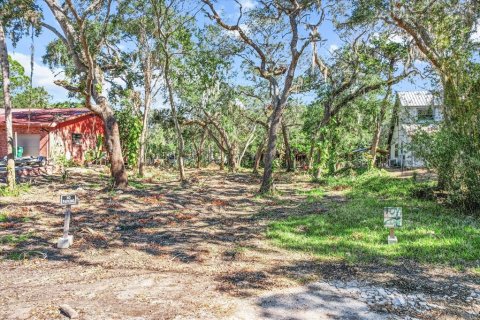 Land in Homosassa, Florida № 1716599 - photo 3