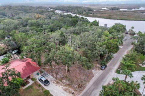 Land in Homosassa, Florida № 1716599 - photo 12