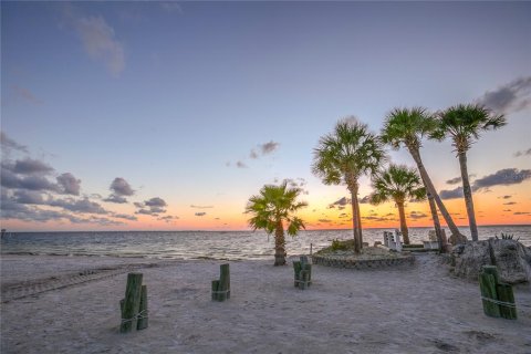 Condominio en alquiler en New Port Richey, Florida, 1 dormitorio, 101.08 m2 № 1780504 - foto 26