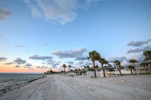 Condominio en alquiler en New Port Richey, Florida, 1 dormitorio, 101.08 m2 № 1780504 - foto 29