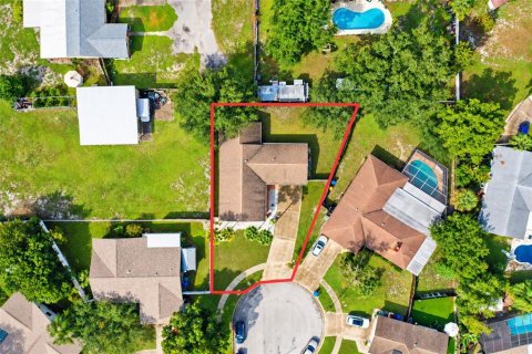 Villa ou maison à vendre à Dunedin, Floride: 3 chambres, 165.64 m2 № 2414048 - photo 6