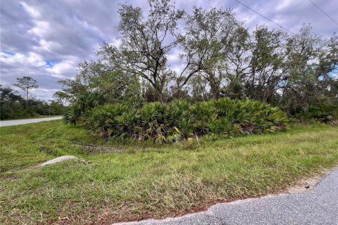 Terrain à Port Charlotte, Floride № 2159975