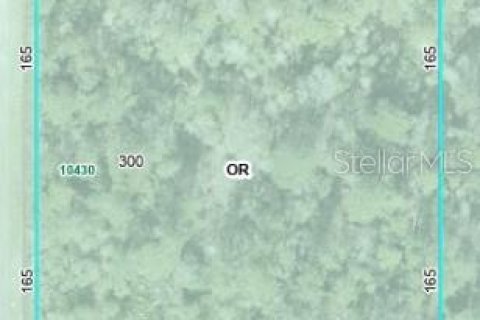 Land in Hastings, Florida № 1634027 - photo 1