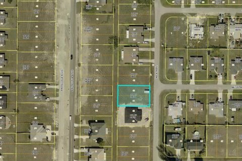 Land in Cape Coral, Florida № 1911215 - photo 1