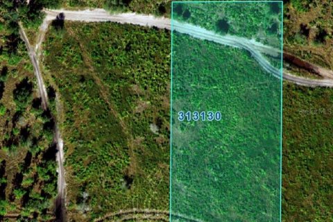 Land in Frostproof, Florida № 2213261 - photo 5