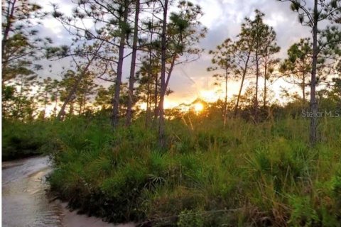Land in Frostproof, Florida № 2213261 - photo 4