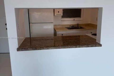 Apartamento en alquiler en Miami, Florida, 1 dormitorio № 2006400 - foto 13