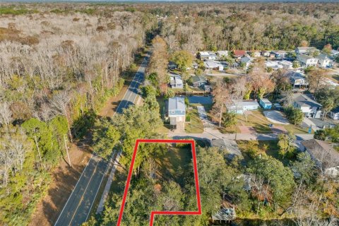 Land in Weeki Wachee, Florida № 2118401 - photo 3