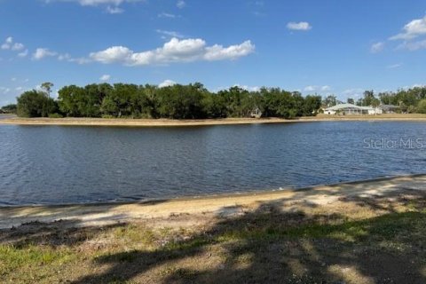 Land in Punta Gorda, Florida № 1657295 - photo 6