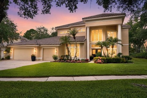 House in Tampa, Florida 5 bedrooms, 329.9 sq.m. № 2203885 - photo 2