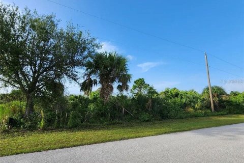 Land in Port Charlotte, Florida № 2393817