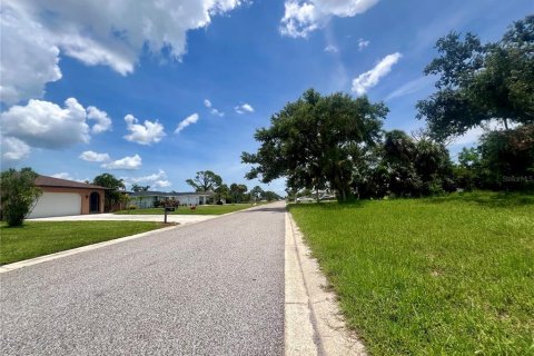Land in Rotonda, Florida № 2104223 - photo 2