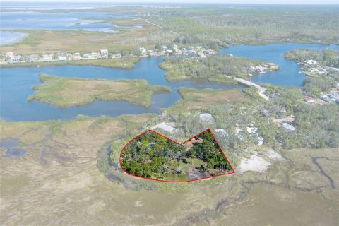 House in Hudson, Florida 2 bedrooms, 89.19 sq.m. № 1408468 - photo 20