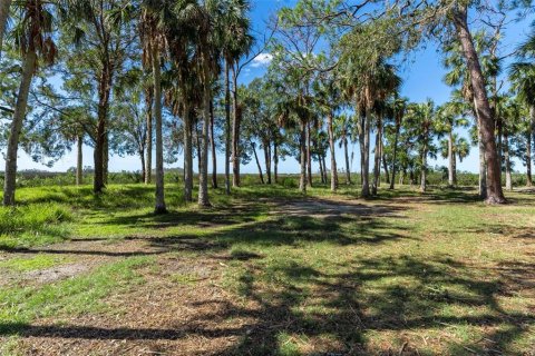 House in Hudson, Florida 2 bedrooms, 89.19 sq.m. № 1408468 - photo 9