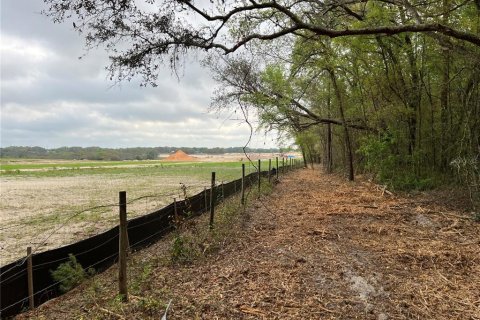 Land in Apopka, Florida № 1679843 - photo 7