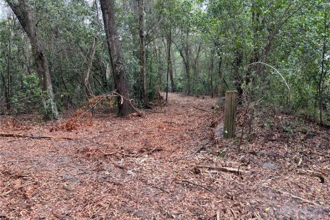 Land in Apopka, Florida № 1679843 - photo 12
