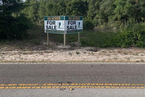 Land in Apopka, Florida № 1679843 - photo 1
