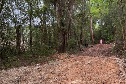 Land in Apopka, Florida № 1679843 - photo 10