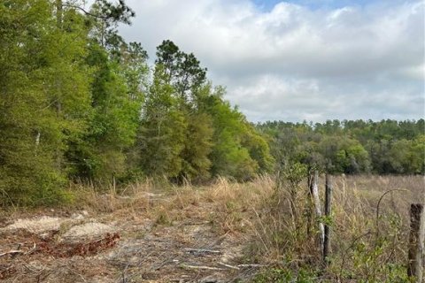 Land in Apopka, Florida № 1679843 - photo 13