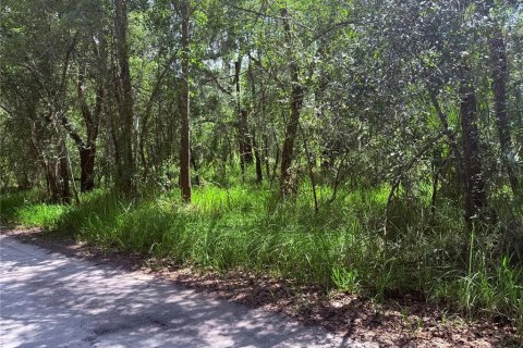 Land in Arcadia, Florida № 2162117 - photo 3