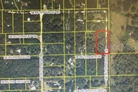 Land in Arcadia, Florida № 2162117 - photo 4