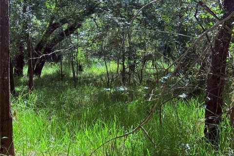 Land in Arcadia, Florida № 2162117 - photo 5