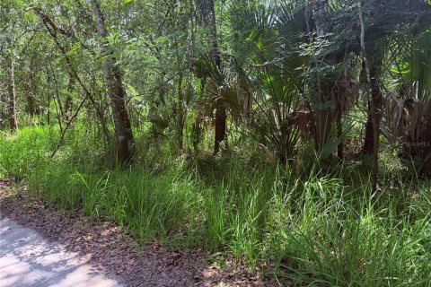 Land in Arcadia, Florida № 2162117 - photo 2