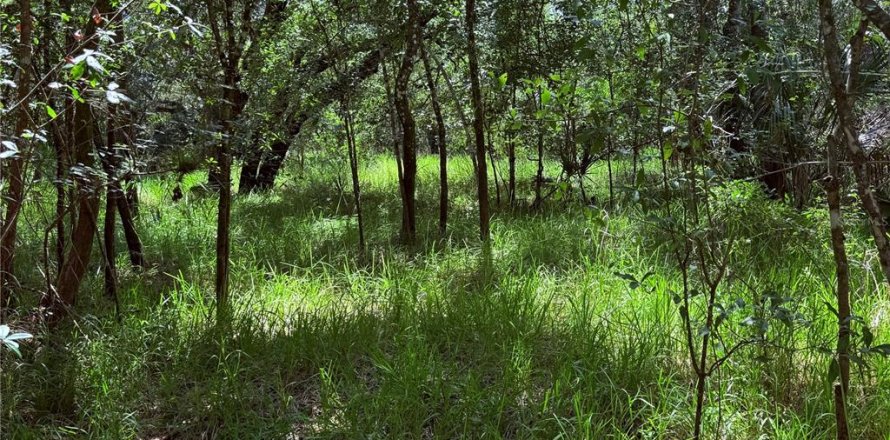 Land in Arcadia, Florida № 2162117