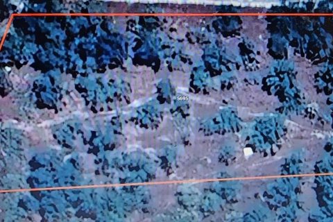 Terreno en venta en Punta Gorda, Florida № 1570381 - foto 2