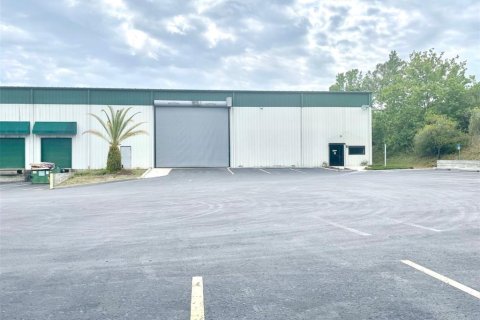 Immobilier commercial à louer à Groveland, Floride: 3379.32 m2 № 1354462 - photo 2